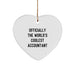 Funny Accountant Gifts for Men, Gifts from Friends to Accountant, Christmas Unique Heart Ornament, Officially The World's Coolest Accountant - Image 1