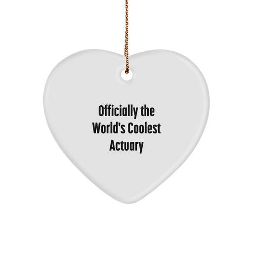 Fun Actuary Heart Ornament Gifts from Friends to Actuary Men, Christmas Unique Gifts, Inspirational Actuary - Image 1