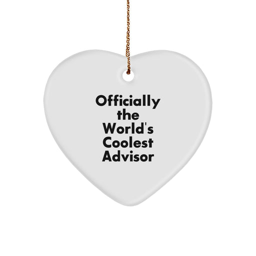 Funny Advisor Gifts from Friends and Family for Christmas Unique Gifts Men Women Coworkers - Image 1