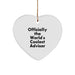 Funny Advisor Gifts from Friends and Family for Christmas Unique Gifts Men Women Coworkers - Image 1