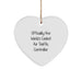 Funny Air Traffic Controller Gifts from Friends, Officially The World's Coolest Air Traffic Controller Heart Ornament for Christmas Unique Gifts - Image 1
