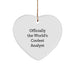 Funny Analyst Heart Ornament Gifts from Men, Women, Friends, Coworkers, Family to Analyst, Men, Women, Friends, Coworkers, Family on Christmas Unique Gifts - Image 1