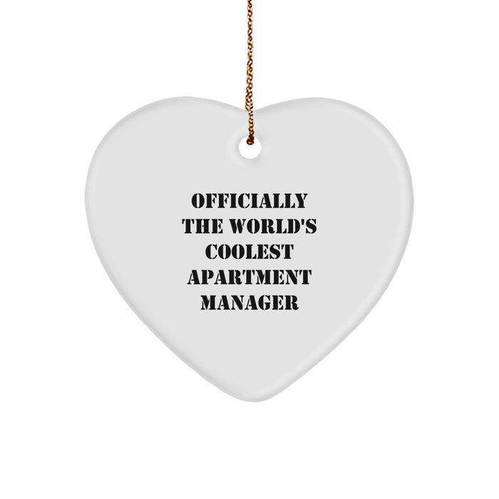 Funny Apartment Manager Gifts from Men, Gifts for the World's Coolest Apartment Manager, Christmas Unique Heart Ornaments - Image 1