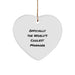 Funny 'Officially The World's Coolest Manager' Heart Ornament Gift for Christmas, Gifts from Manager to Friends, Family, or Coworkers - Image 1