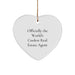 Funny Real Estate Agent Gifts, Officially The World's Coolest Heart Ornament, Christmas Unique Presents from Friends and Family - Image 1