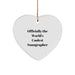 Funny Sonographer Gifts from Friends and Family Officially The World's Coolest Sonographer Heart Ornament for Sonographer - Image 1