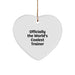 Funny Trainer Heart Ornament, Gift from Friends for Men, Unique Christmas Unique Gifts, Officially The World's Coolest Trainer Heart Shaped - Image 1