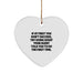 Funny Agent Heart Ornament Gifts from Friends for Coworkers, If At First You Don't Succeed, Try Doing What Your Agent Told You To Do The First Time, Christmas Unique Gifts - Image 1