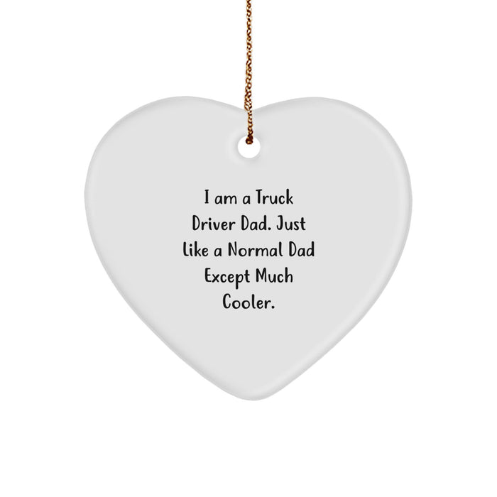 Funny Truck Driver Dad Gifts from Men to Truck Driver Friends, Heart Ornament, Funny Truck Driver Christmas Unique Gifts - Image 1