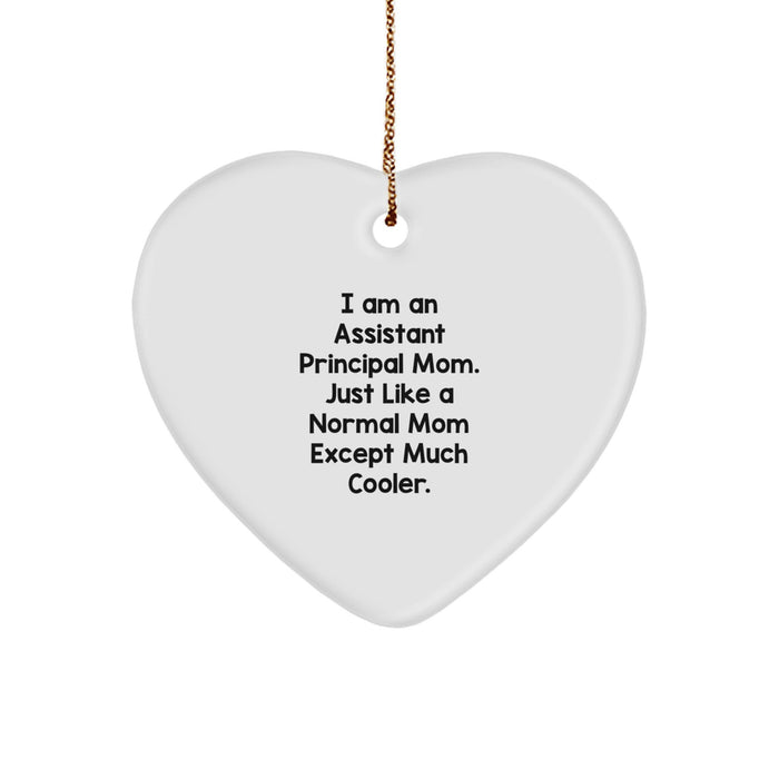 Funny Assistant Principal Heart Ornaments Gifts from Family for Assistant Principal Men Women Coworkers Christmas Unique Gifts - Image 1