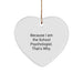 Funny School Psychologist Gifts from Friends for School Psychologist - Heart Ornament Because I Am, That's Why! Gifts for Men, Women, Family, Coworkers, Christmas Unique Treasures - Image 1