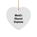Funny Stepmom Gifts for Christmas, Heart Ornament with 'World's Okayest Stepmom' Quote, Perfect for Stepmom from Men, Women, or Friends - Image 1