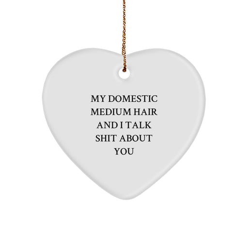 Funny Domestic Medium Hair Cat Gifts from Friends for Christmas Heart Ornament - Image 1