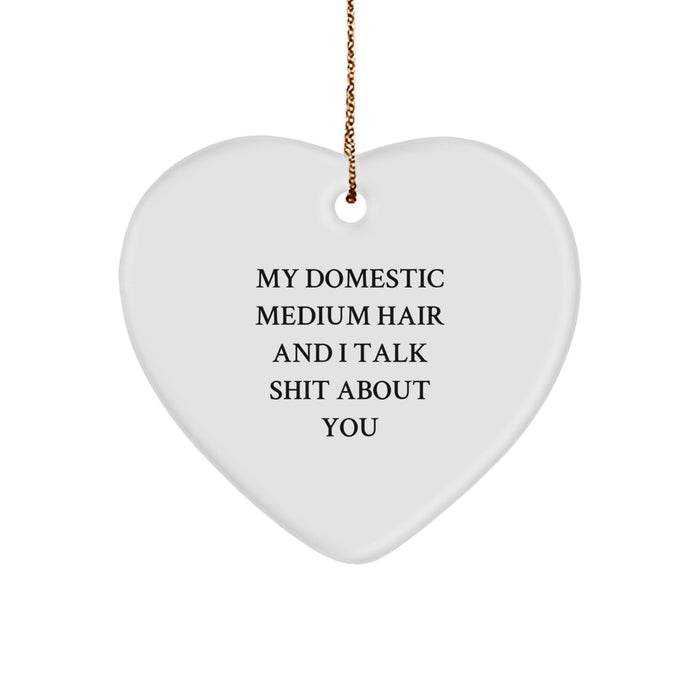 Funny Domestic Medium Hair Cat Gifts from Friends for Christmas Heart Ornament - Image 1