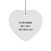 Funny Abyssinian Cat Gifts for Friends from My Abyssinian And I Talk Shit About You Heart Ornament for Christmas - Image 1