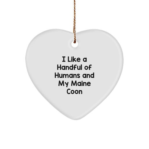 Funny Maine Coon Cat Lover Gifts from Friends, Family, or Coworkers - Christmas Unique - Image 1
