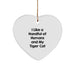 Funny Tiger Cat Heart Ornament Gifts from Men to Tiger Cat Lovers Christmas Unique Gifts - Image 1