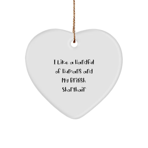 British Shorthair Cat Lover Gifts from Men, Funny Quote Heart Ornament for Christmas Unique Gifts - Image 1