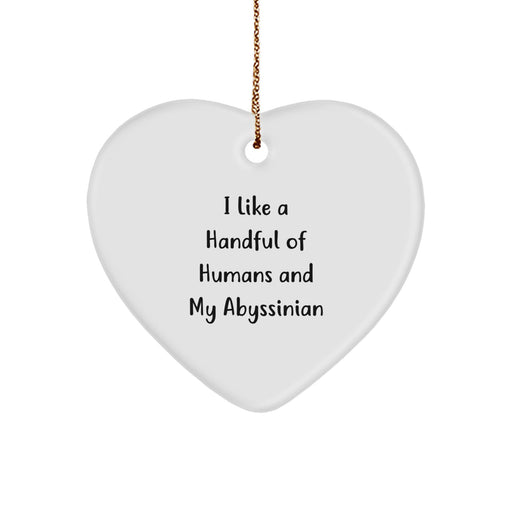 Abyssinian Cat Heart Ornament Funny Gift for Cat Lovers Abyssinian Cat Gifts from Men to Cat Enthusiasts - Image 1