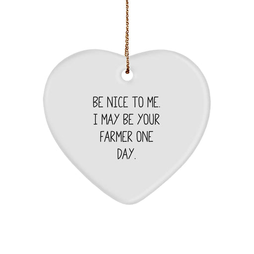 Be Nice to Me, Funny Farmer Gifts for Men, Unique Heart Ornament with Farmer Quote, Christmas Unique Gifts from Friends to Farmer - Image 1