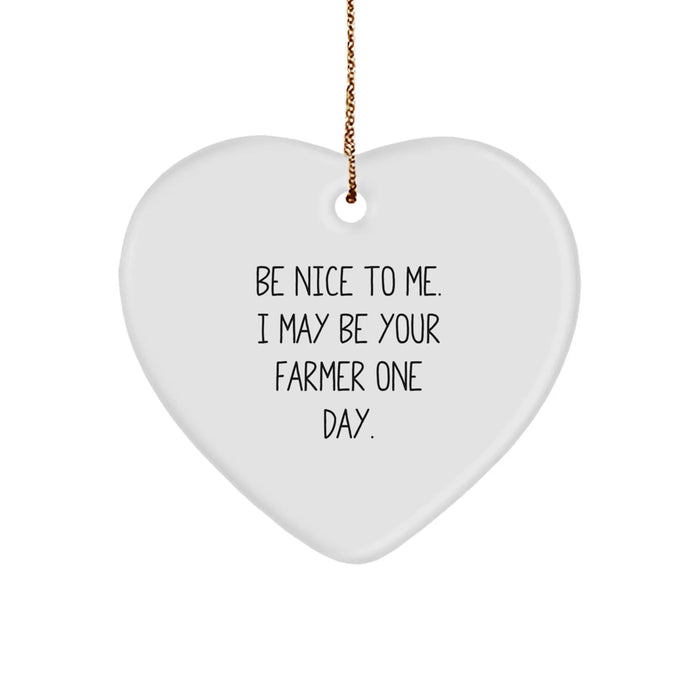 Be Nice to Me, Funny Farmer Gifts for Men, Unique Heart Ornament with Farmer Quote, Christmas Unique Gifts from Friends to Farmer - Image 1