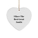 Funny Auntie Gifts from Family - I Have The Best Great Auntie Heart Ornament for Christmas - Image 1
