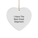 Funny Stepmom Heart Ornament Gifts from Family for Stepmom, Unique Stepmom Christmas Unique Gifts, Heart Shaped Ornament with Funny Quote 'I Have The Best Great Stepmom' - Image 1