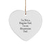 Abyssinian Cat Heart Ornament Funny Christmas Unique Gifts from Dad Gifts for Abyssinian Cat Lovers - Image 1
