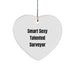 Funny Surveyor Gifts from Men for Surveyor - Smart Sexy Talented Heart Ornament Christmas Unique - Image 1