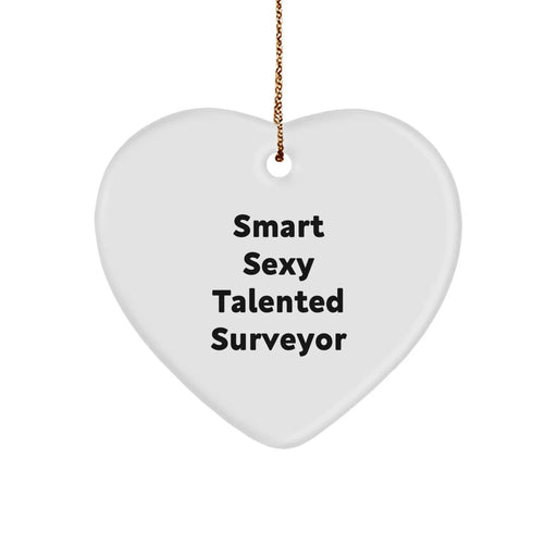 Funny 'Smart Sexy Talented' Surveyor Heart Ornament Gifts from Men to Friends for Christmas Unique Gifts - Image 1
