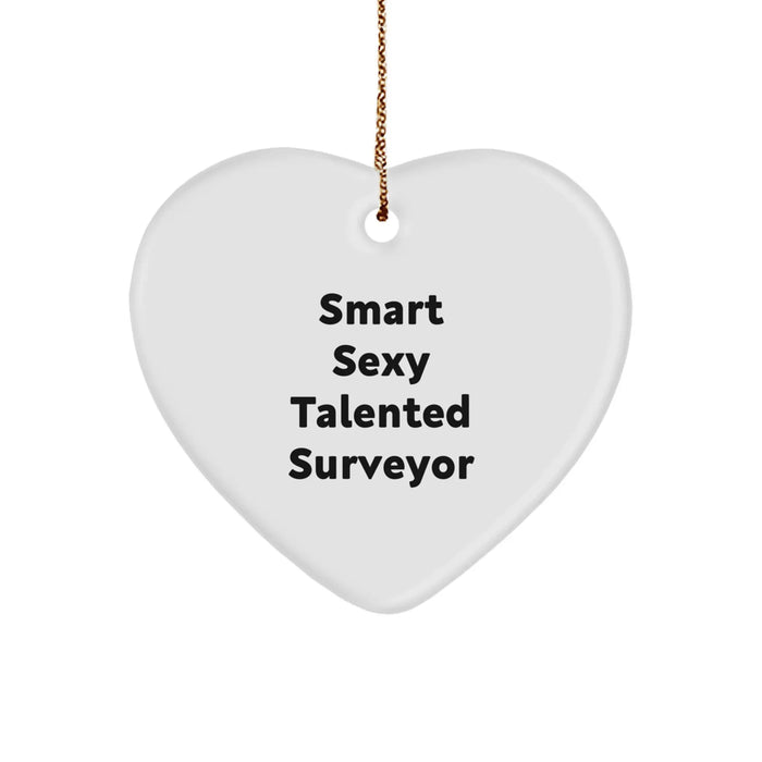 Funny 'Smart Sexy Talented' Surveyor Heart Ornament Gifts from Men to Friends for Christmas Unique Gifts - Image 1