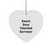 Funny 'Smart Sexy Talented' Surveyor Heart Ornament Gifts from Men to Friends for Christmas Unique Gifts - Image 1