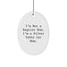 Funny Silver Tabby Cat Mom Gifts For Friends, Family, Christmas Unique Gifts, Oval Ornament - Image 1