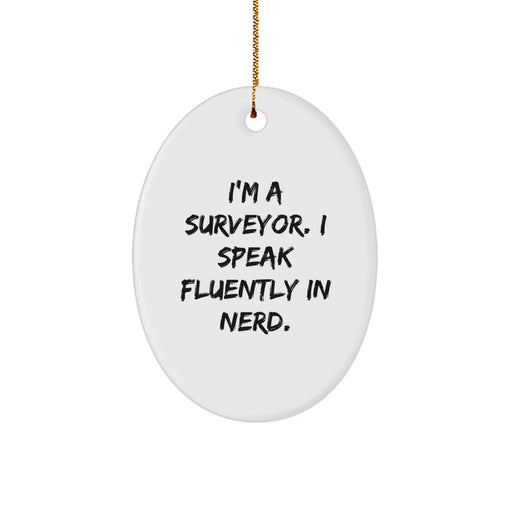 Funny Surveyor Oval Ornament Gift for Surveyor Friends and Family Men from Surveyor Lover Christmas Unique Gifts - Image 1