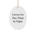 Funny Lawyer Gifts for Men - Oval Ornament - Lawyer By Day Ninja By Night - Christmas Unique Decorations - Image 1