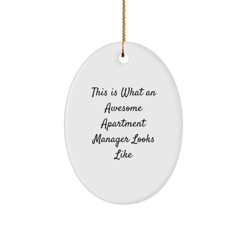Funny Apartment Manager Gifts from Friends, Unique Oval Ornament for Awesome Apartment Managers, This Is What An Awesome Apartment Manager Looks Like, Christmas Unique Gifts for Apartment Manager - Image 1