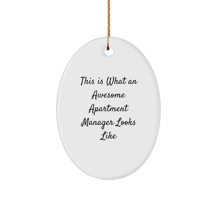 Funny Apartment Manager Gifts from Friends, Unique Oval Ornament for Awesome Apartment Managers, This Is What An Awesome Apartment Manager Looks Like, Christmas Unique Gifts for Apartment Manager - Image 1