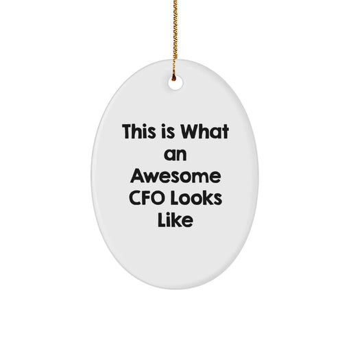 Funny CFO Gifts for Men CFO Oval Ornament This Is What An Awesome Cfo Looks Like Christmas Unique Gifts from Friends - Image 1