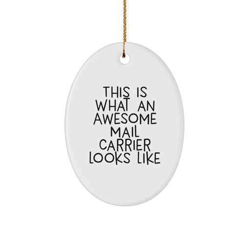 Funny Mail Carrier Gifts, Inspirational Oval Ornament for Mail Carrier, This Is What An Awesome Mail Carrier Looks Like Christmas Decor - Image 1