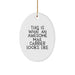 Funny Mail Carrier Gifts, Inspirational Oval Ornament for Mail Carrier, This Is What An Awesome Mail Carrier Looks Like Christmas Decor - Image 1
