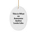 Funny Quilter Gifts from Friends for Awesome Quilter Looks Like Oval Ornament Christmas Unique Gifts - Image 1