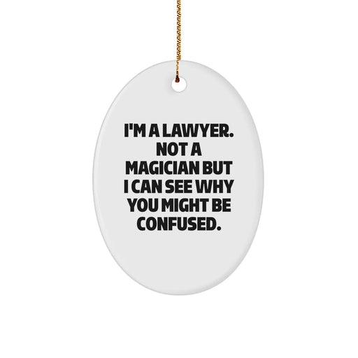 Funny Lawyer Oval Ornaments Gifts for Friends Family from Men Women Lawyer Christmas Unique Decorations - Image 1