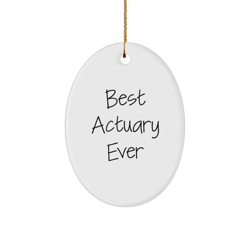 Funny Best Actuary Ever Oval Ornament Gifts from Men to Actuary Friends - Image 1