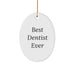 Funny Best Dentist Ever Oval Shaped Ornament Gifts from Family Friends Coworkers, Christmas Unique Gifts for Dentists Men Women at Home Office - Image 1
