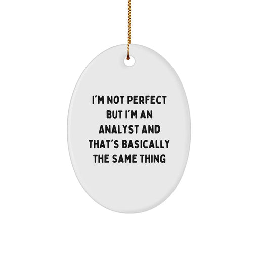 Funny Analyst Oval Ornament Gifts from Friends for Christmas Unique Decorations - Image 1