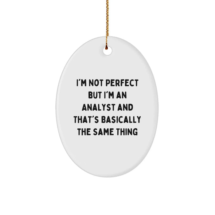 Funny Analyst Oval Ornament Gifts from Friends for Christmas Unique Decorations - Image 1