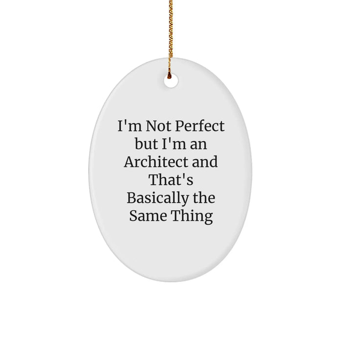 Funny Architect Oval Ornament Gifts from Friends for Architect Men - Image 1