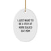 Funny Calico Cat Oval Ornament Gifts from Mom for Calico Cat Lover - Unique Christmas Decorations - Image 1