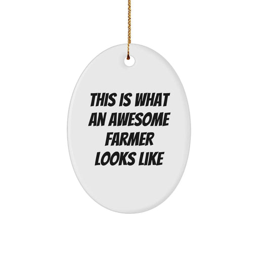 Farmer Gifts from Friends and Family - This Is What An Awesome Farmer Looks Like Oval Ornament, White, Christmas - Image 1