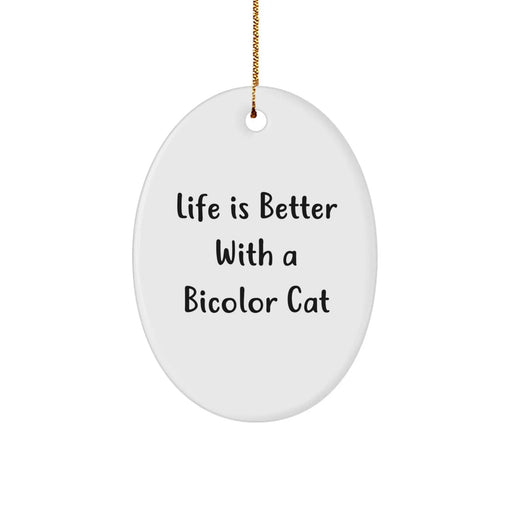 Bicolor Cat Gifts from Men for Friends - Funny Oval Ornament, Life Is Better, Christmas Unique Gifts - Image 1